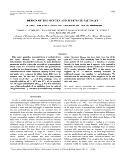 design of the oxygen and substrate pathways
