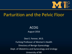 Parturition and the Pelvic Floor