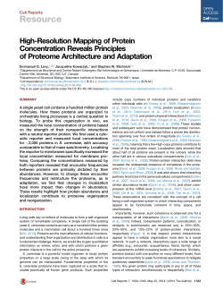 High-Resolution Mapping of Protein Concentration Reveals