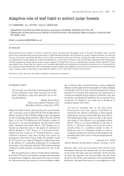 Adaptive role of leaf habit in extinct polar forests