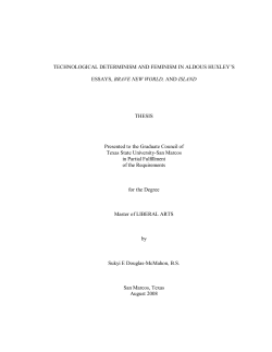 technological determinism and feminism in