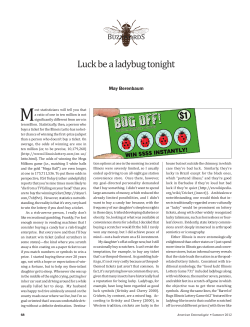 Luck be a ladybug tonight