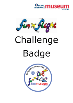 Fun n Flight Challenge Pack