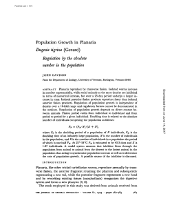 Population Growth in Planaria Dugesia tigrina (Gerard) Regulation