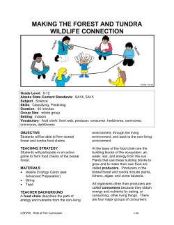 making the forest and tundra wildlife connection