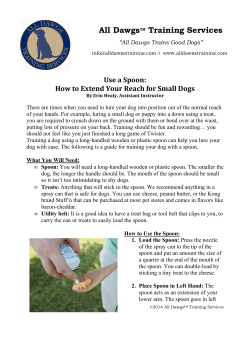 Dog Training With a Spoon - All Dawgs Training Services