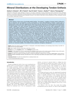 Article