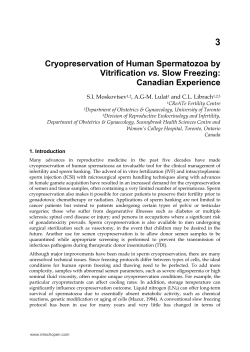 Cryopreservation of Human Spermatozoa by Vitrification