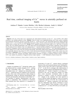 Real time, confocal imaging of Ca waves in arterially perfused rat
