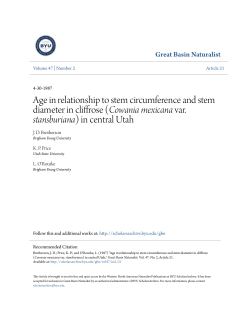 Age in relationship to stem circumference and stem diameter in