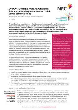 the executive summary