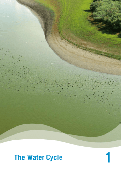 The Water Cycle