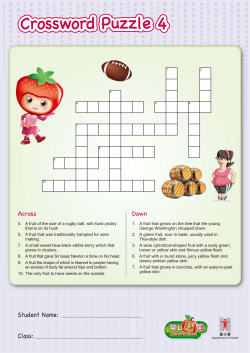 Crossword Puzzle 4