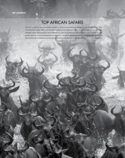 top african safaris