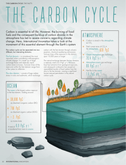 The Carbon Cycle - International Innovation