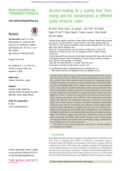 Decision-making by a soaring bird: time, energy and risk