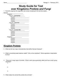 Study Guide for Test over Kingdoms Protista and Fungi