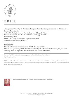 Aboveground Activity of Merriam`s Kangaroo Rats