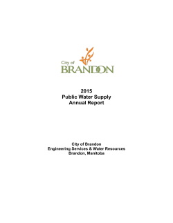 2015 Annual Report