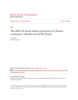 The effect of social media comment on Chinese consumers` attitude