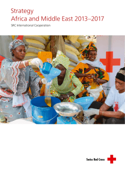 Strategy Africa and Middle East 2013&ndash;2017