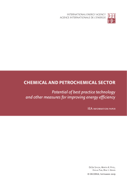 Chemical and Petrochemical Sector