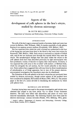 Aspects of the development of yolk spheres in the hen`s oocyte