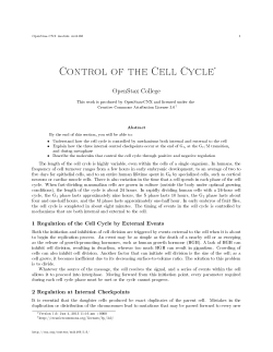 Control of the Cell Cycle
