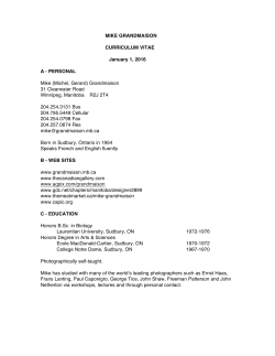 Curriculum Vitae - CV (January 2016)