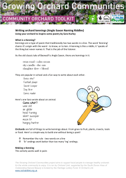 Guess who? Football player Secret keeper Dog liker