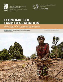 Economics of Land Degradation: The Costs of Action versus Inaction