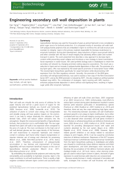 Engineering secondary cell wall deposition in plants