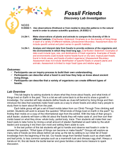 Fossil Friends - ScienceWorks Hands