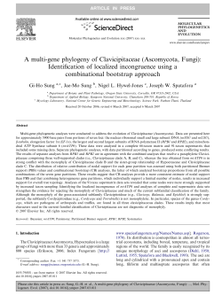 A multi-gene phylogeny of Clavicipitaceae (Ascomycota, Fungi