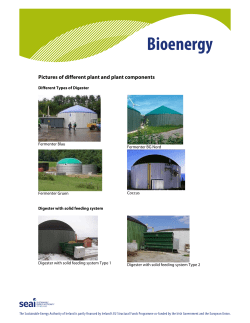 Pictures of different plant and plant components