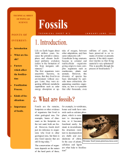 Fossils