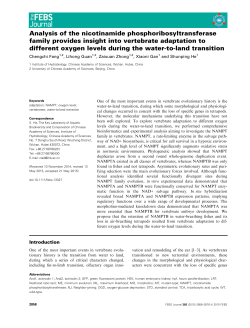 Analysis of the nicotinamide phosphoribosyltransferase family