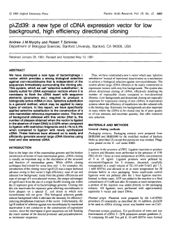 pXZd39: a new type of cDNA expression vector