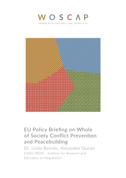 EU Policy Briefing on Whole of Society Conflict