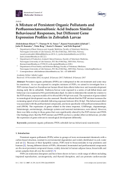 A Mixture of Persistent Organic Pollutants and