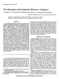 The Chloroplast and Cytoplasmic Ribosomes of Euglena
