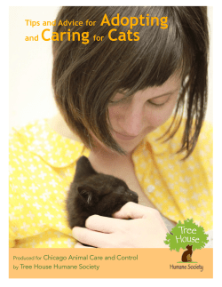 CACC Cat Guide - City of Chicago