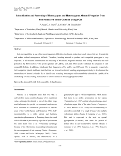 Identification and Screening of Homozygous and Heterozygous