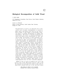 Biological Decomposition of Solid Wood