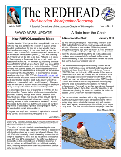 Red-headed Woodpecker Recovery