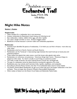Night Hike Notes - Rio Salado Audubon Center