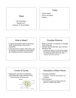Sleep Today What is Sleep? Circadian Rhythms Control of Cycles