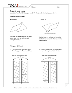 Origami DNA model