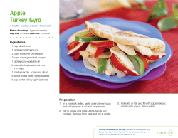 Apple Turkey Gyro - School Nutrition and Fitness