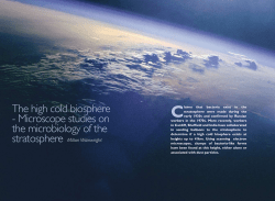 The high cold biosphere - Microscope studies on the microbiology of